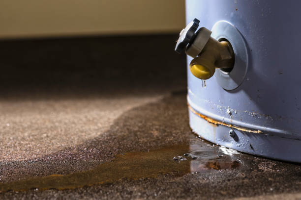 Best 24/7 water damage repair  in Hastings On Hudson, NY