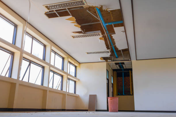 Best Water damage restoration near me  in Hastings On Hudson, NY