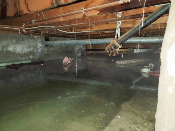 Best Basement water damage restoration  in Hastings On Hudson, NY