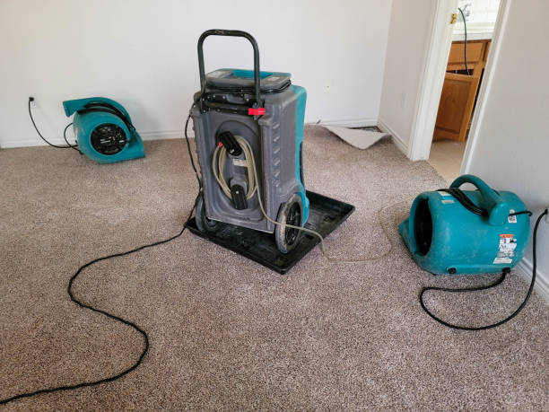 Best Local water damage restoration  in Hastings On Hudson, NY