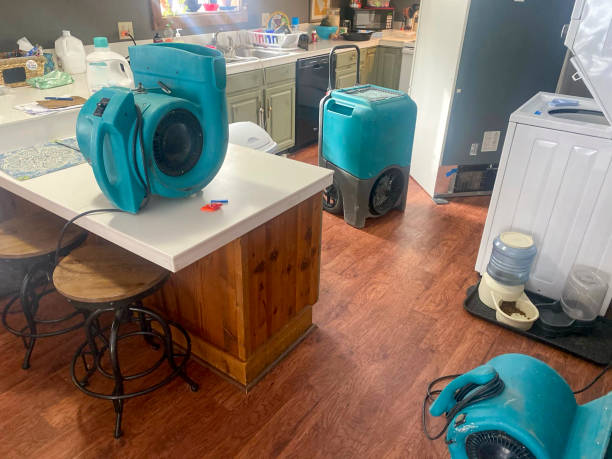 Best Ceiling water damage repair  in Hastings On Hudson, NY