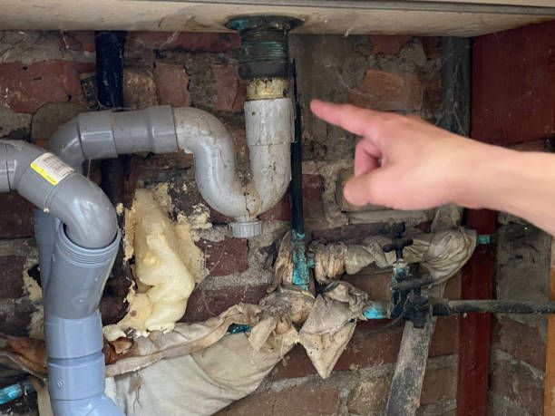 Best Water damage contractors near me  in Hastings On Hudson, NY
